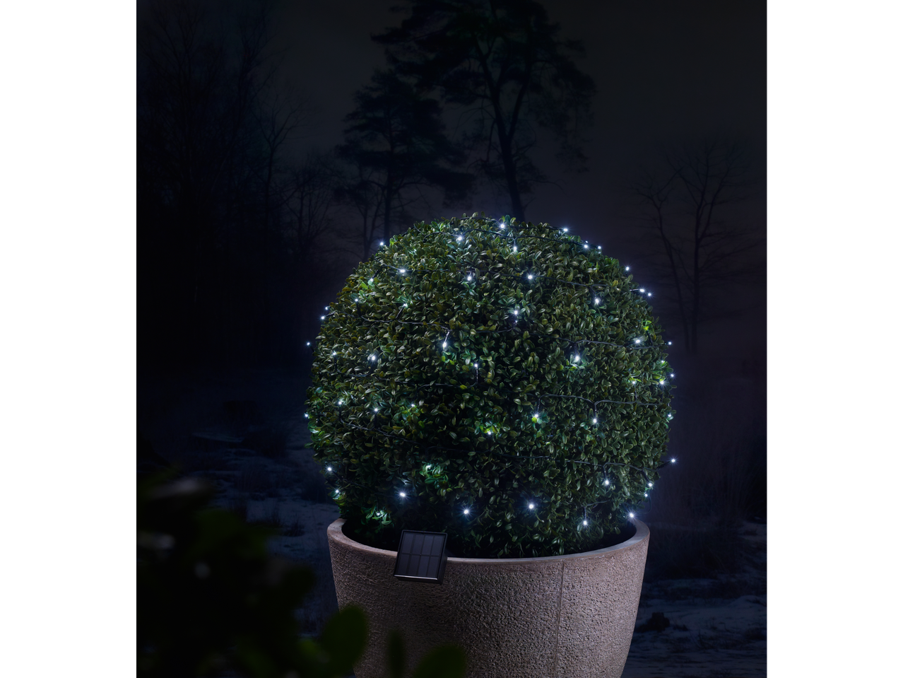 LIVARNO home 100 LED Solar Fairy Lights illuminating a potted topiary bush at night.