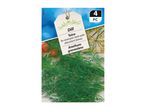 Tetra Dill: an aromatic herb with abundant leaves. 4 pc.