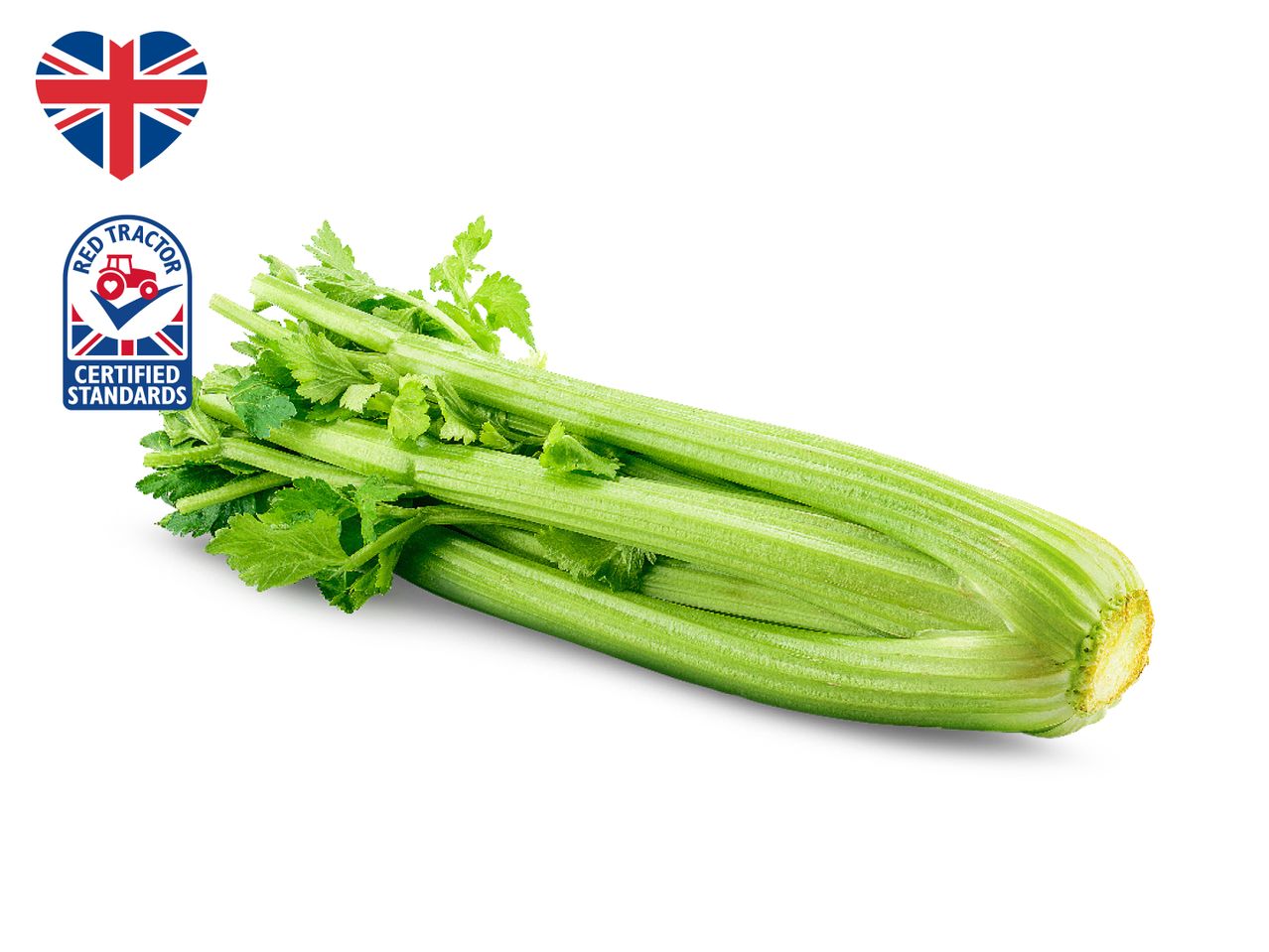 Fresh celery stalk with Red Tractor Certified Standards label.