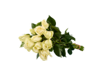 Buquê de rosas brancas em fundo preto.