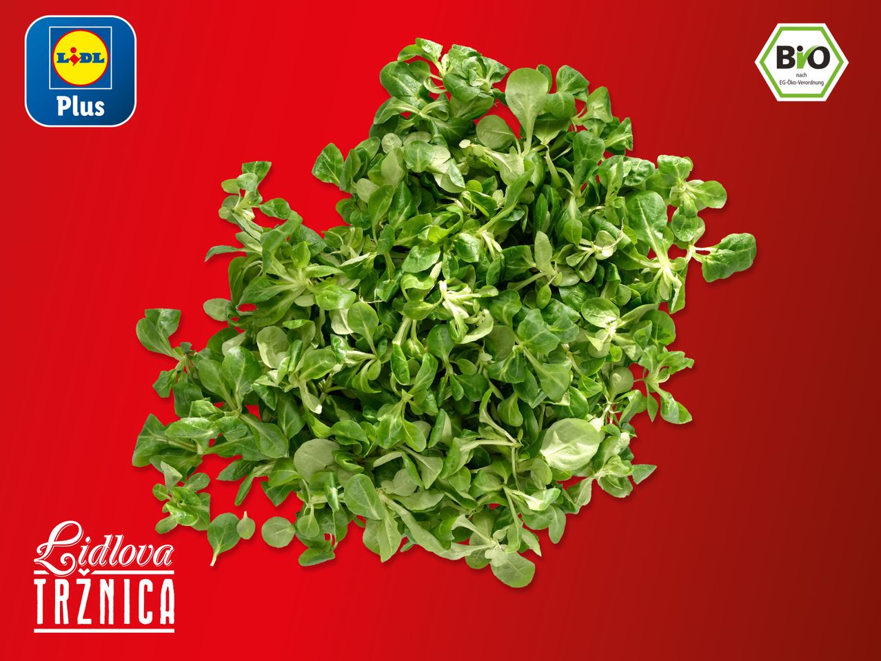 Hrpa zelene salate na crvenoj pozadini s logotipima Lidla i BIO oznakom.