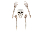 A skeleton head and four skeleton limbs arranged on a black background.