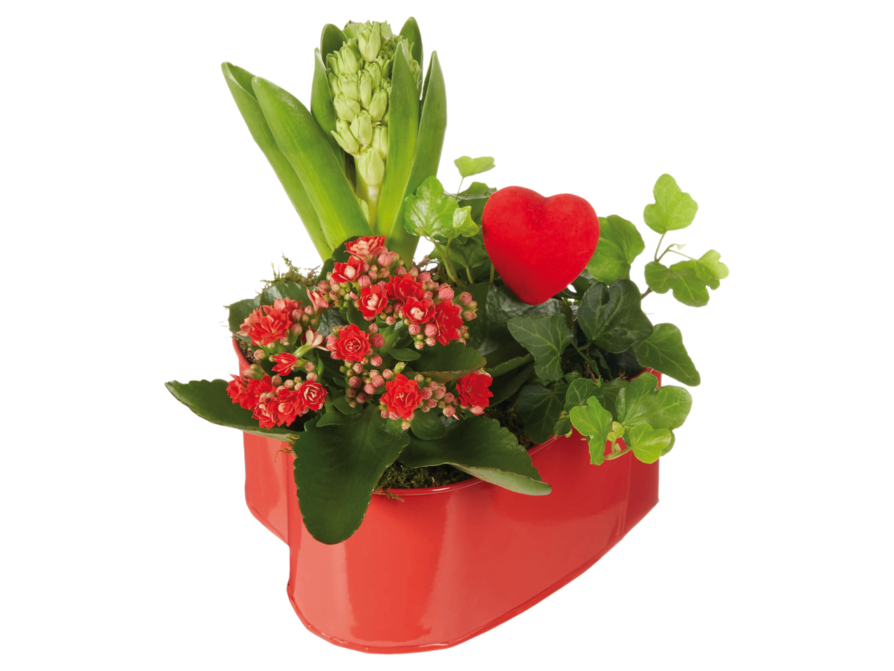 Composizione di San Valentino