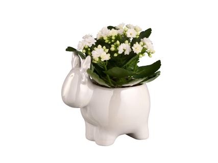 Korallvirág rénszarvas kerámiában*