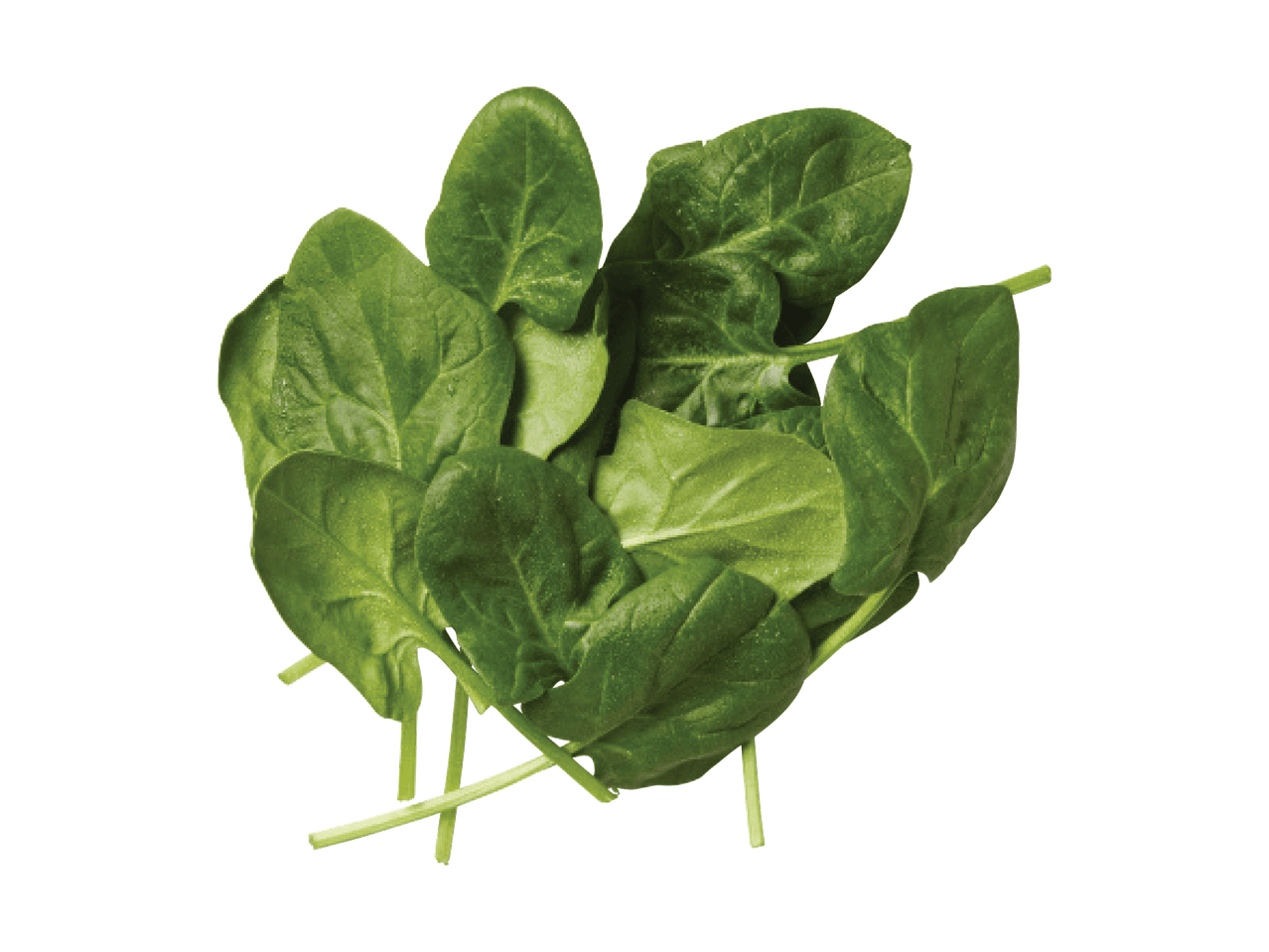 Värsked spinatilehed mustal taustal