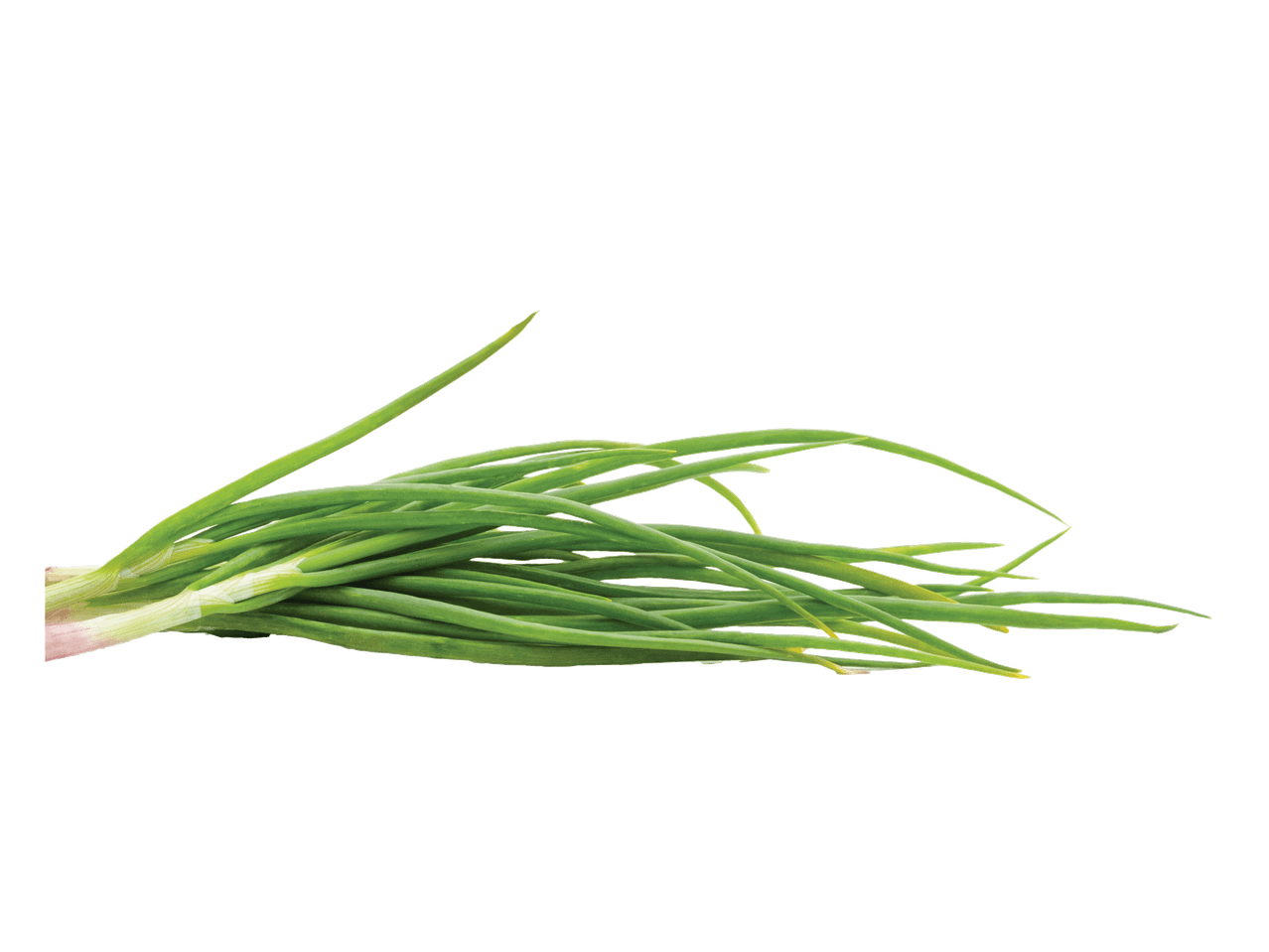 Värske roheline sibul mustal taustal