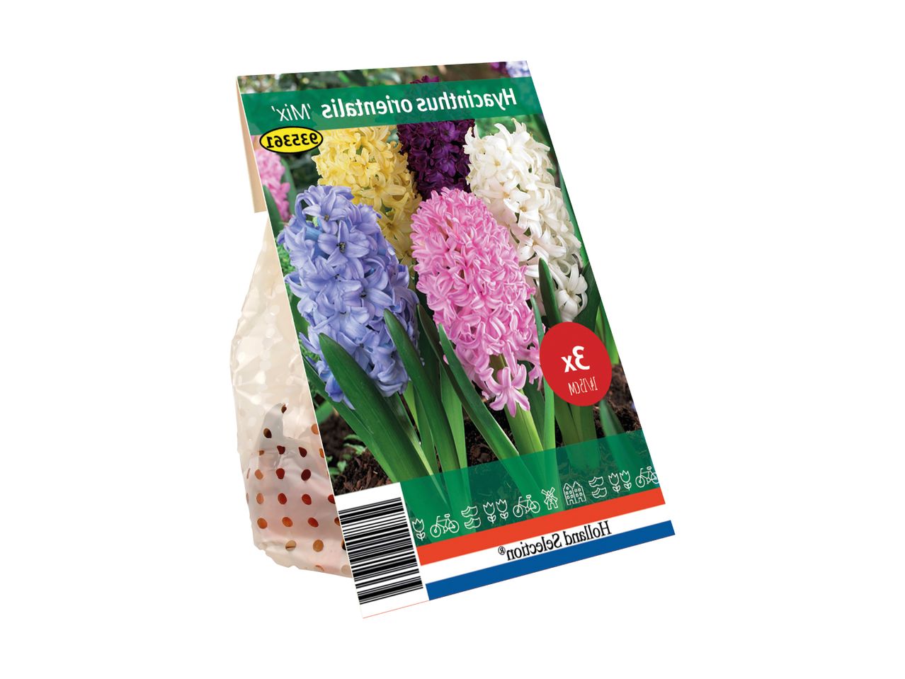 En pakke med 'Hyacinthus orientalis Mix' blomsterløg, der viser lilla, gule, lyserøde, mørkelilla og hvide hyacinter.