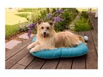 A fluffy dog rests on a blue dog bed on a wooden deck, surrounded by garden plants.