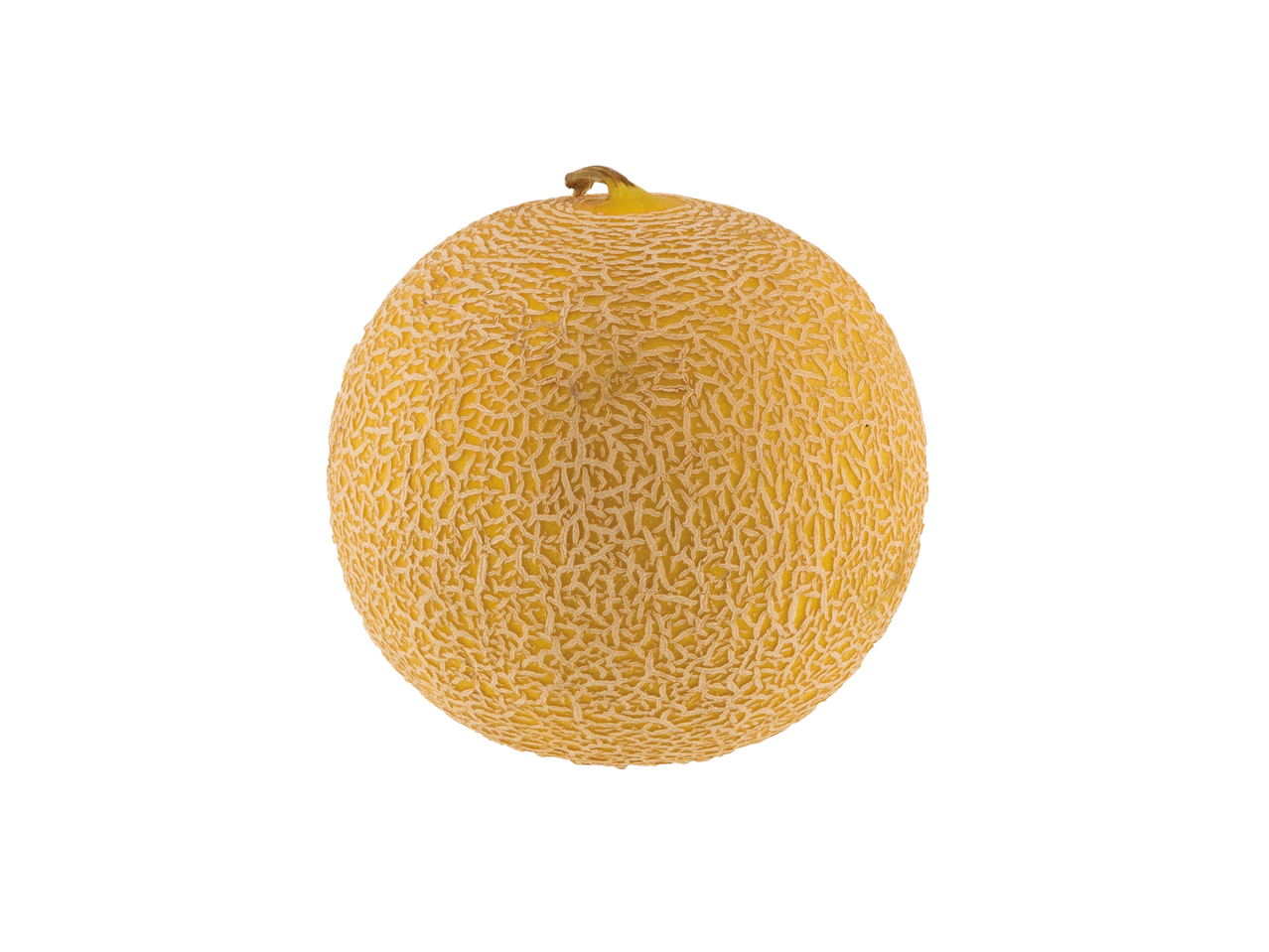 A ripe cantaloupe melon sits on a black background.