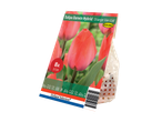 Verpakking voor tulpenbollen van het ras 'Orange Van Eijk' van Holland Selection.