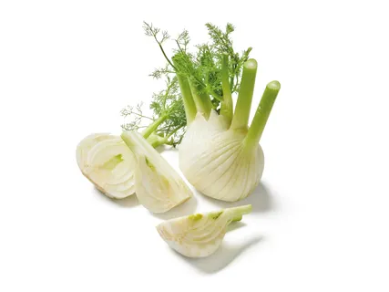 Fenchel, lose