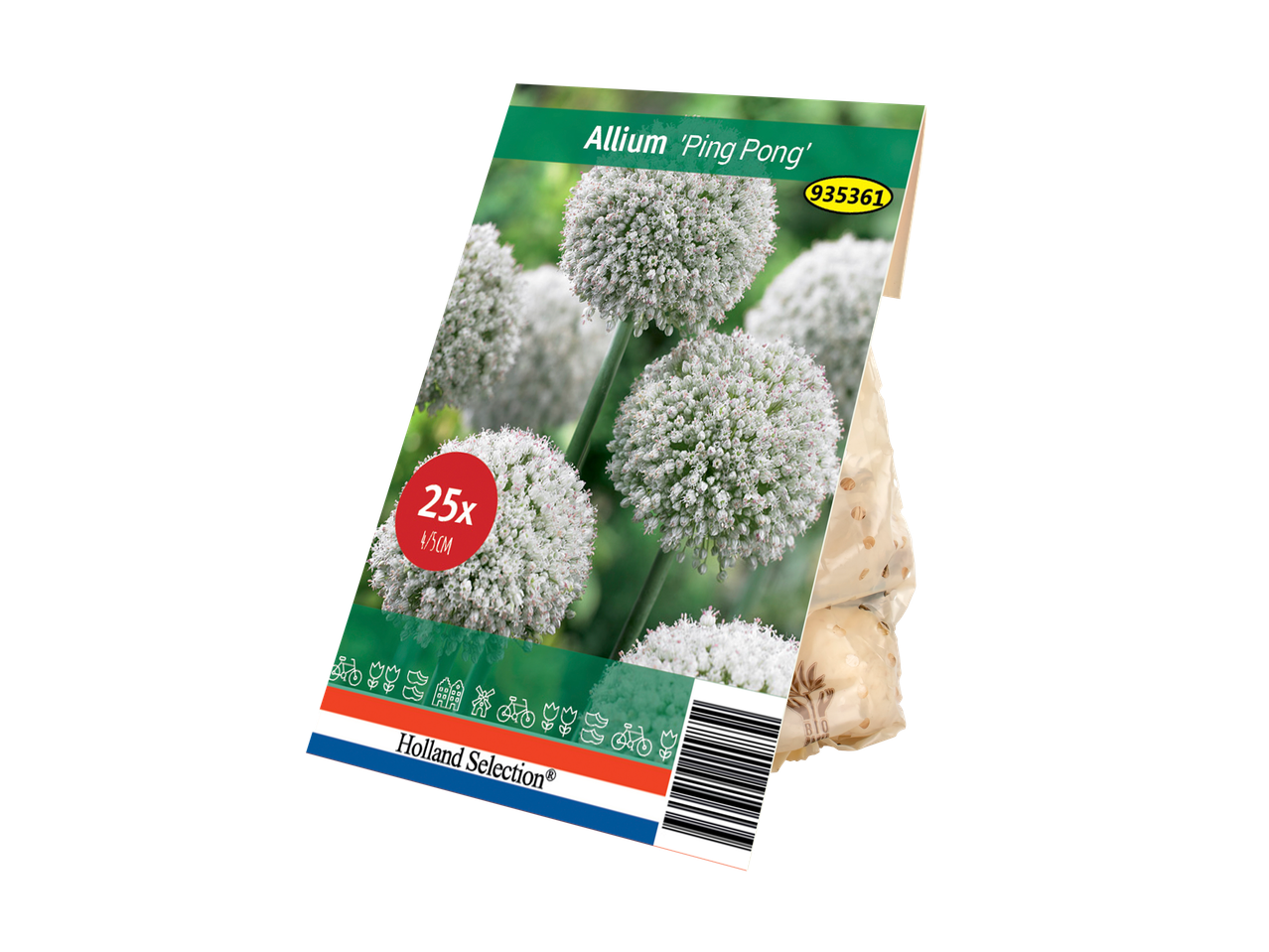 Verpakking voor Allium 'Ping Pong' bloembollen van Holland Selection.