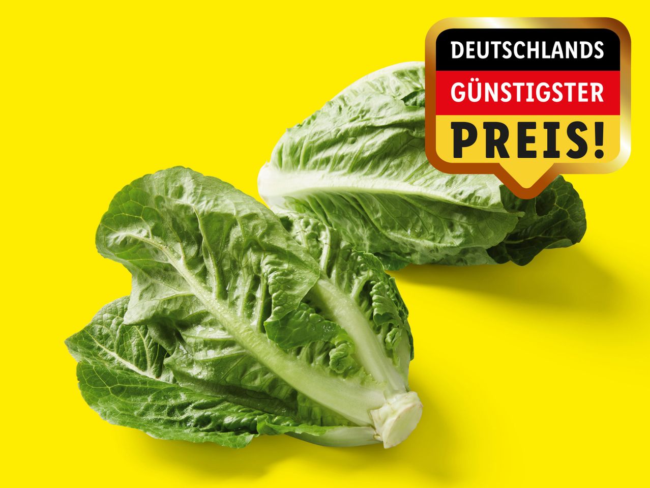 Gehe zu Vollbildansicht: Deutscher Mini Romana Salat - Bild 1