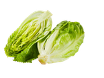 Duas cabeças de alface cortadas ao meio sobre fundo branco.