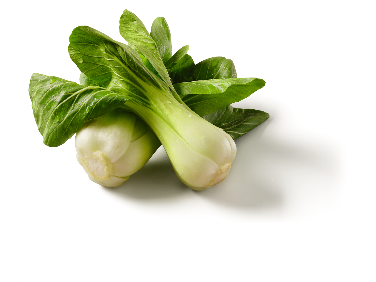 Twee verse paksoi-koppen met groene bladeren.