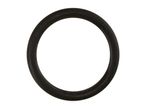 A black rubber O-ring.