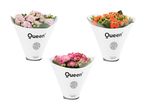 Tre Kalanchoe-planter i Queen®-emballage i lyserød, orange og pink.