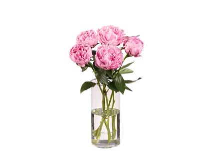 Buchet bujori