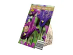 Pack of 10 Iris 'Purple Hill/Blue Hill' flower bulbs