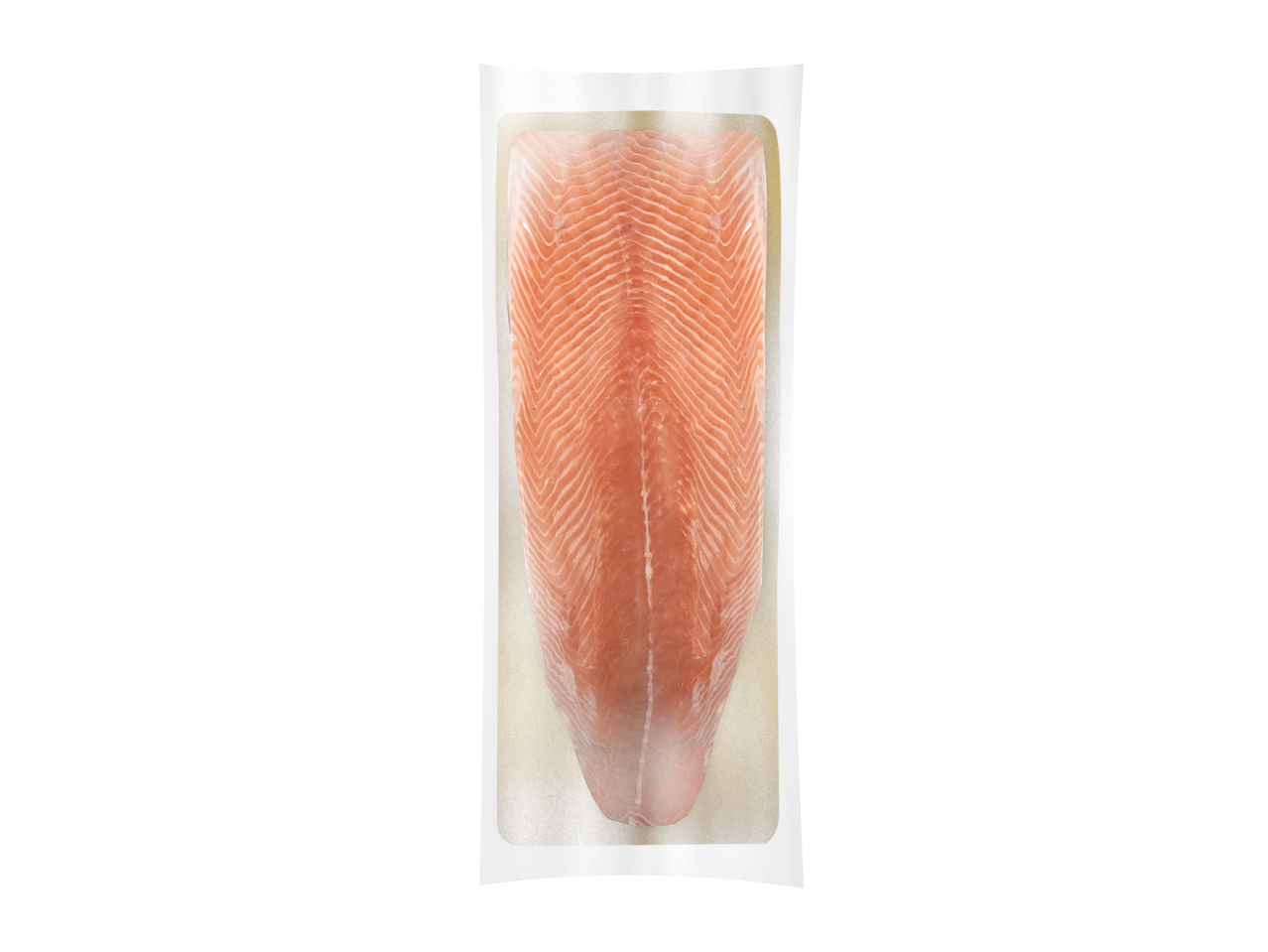 File de somon proaspăt, ambalat în vid
