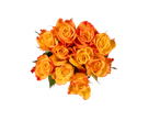 Buquê de rosas laranjas em fundo preto.