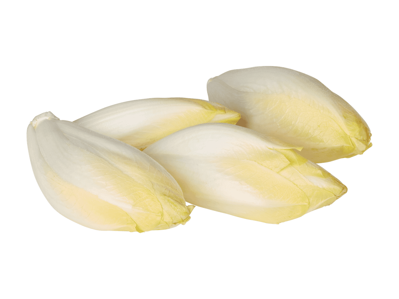 Vier Chicorée-Köpfe auf schwarzem Hintergrund