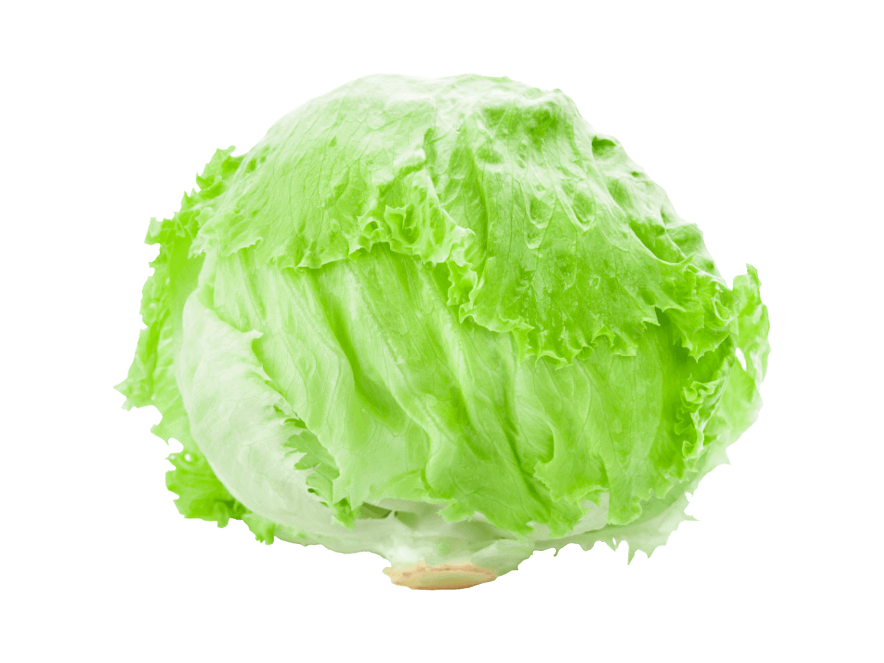 Jääsalati pea mustal taustal