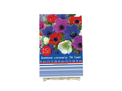 Őszi virághagymák*