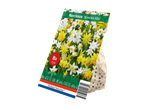 Holland Selection 'Species Mix' narcissus bulb package with 8 bulbs.