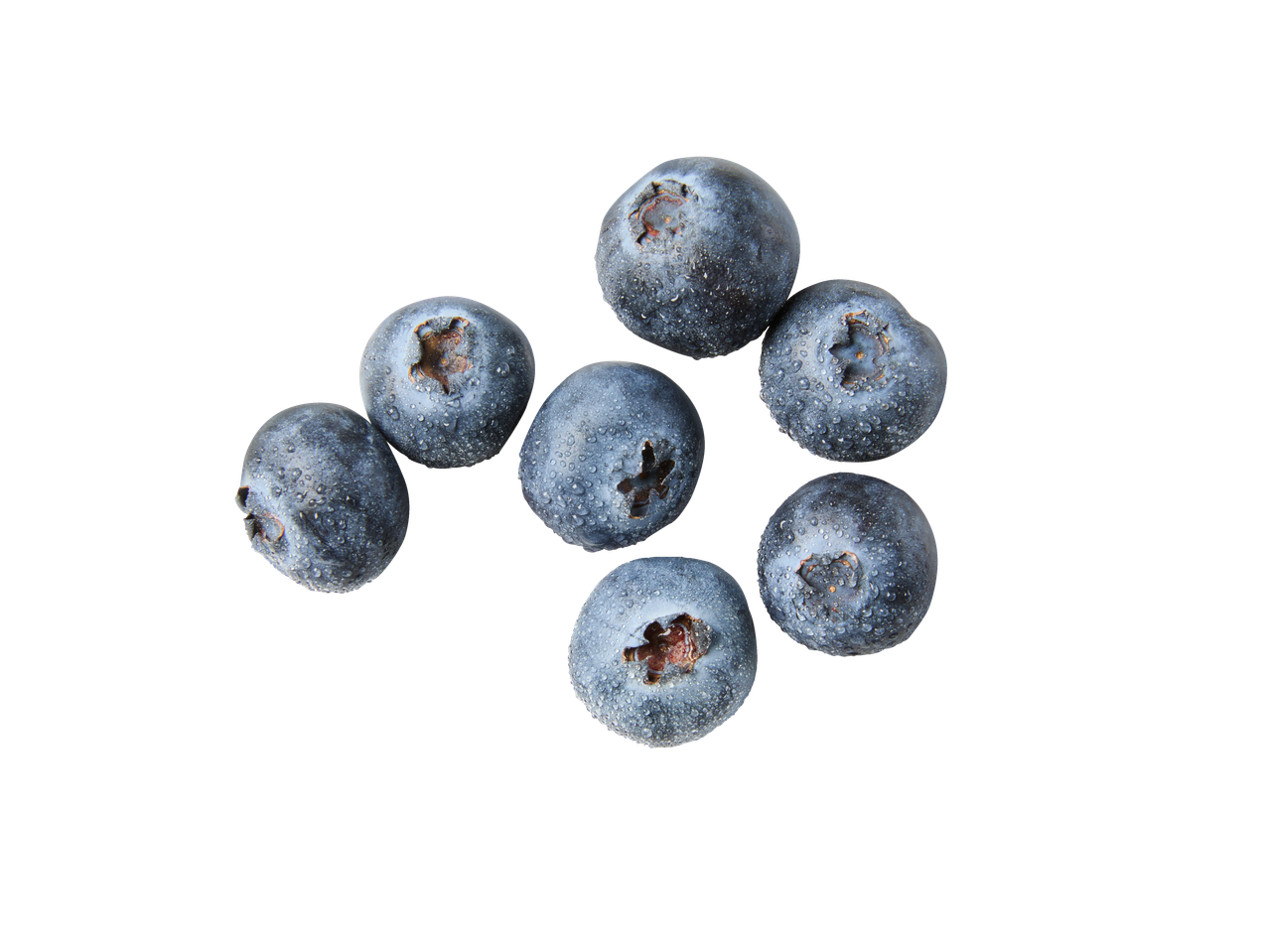 Septynios šviežios mėlynės su vandens lašeliais juodame fone.