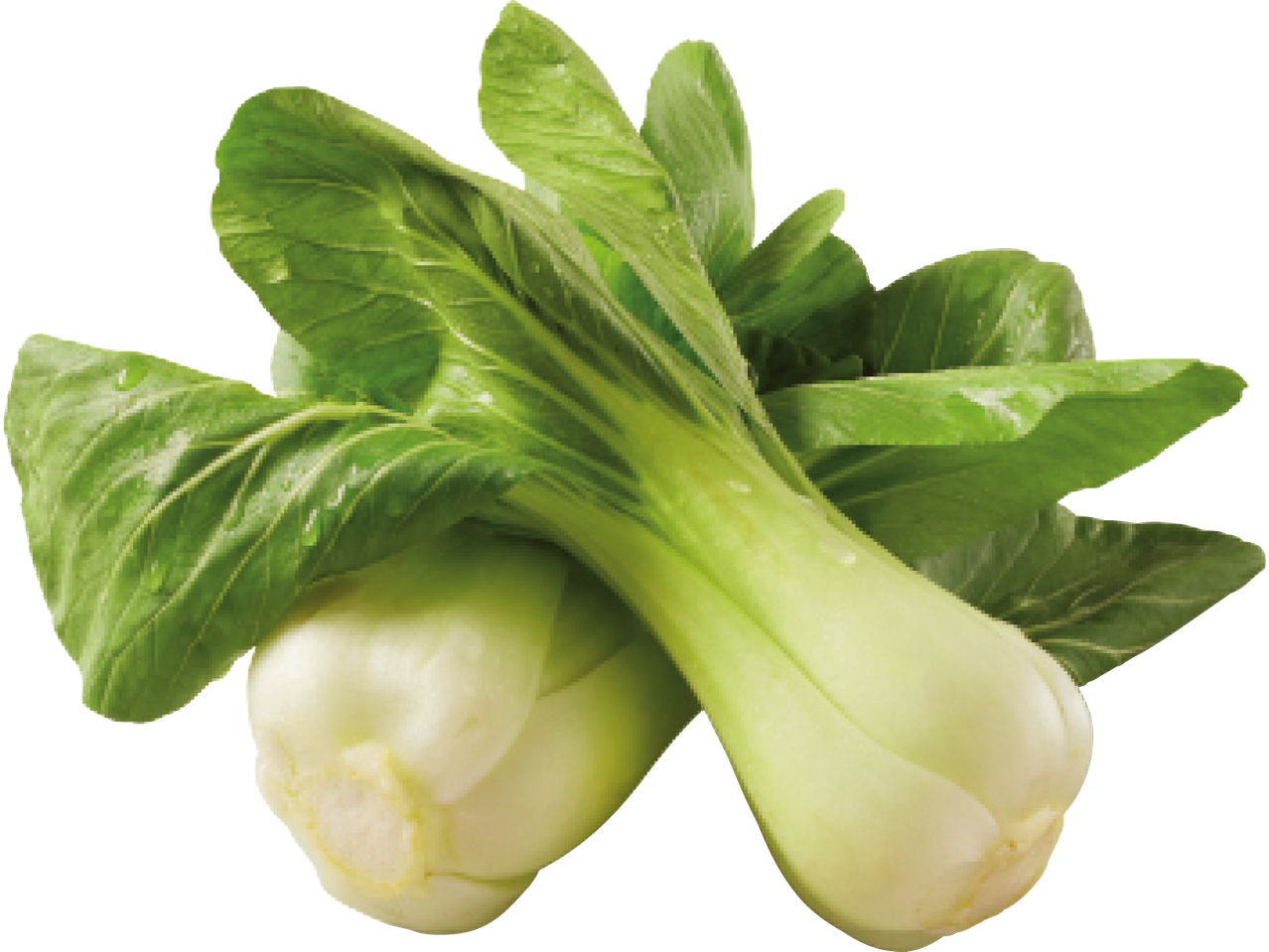 Två gröna pak choi-grönsaker med vita stjälkar.