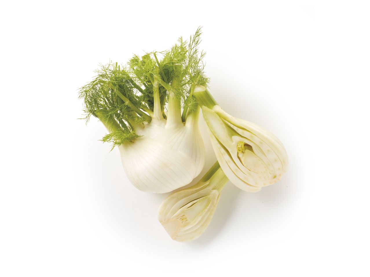 Go to full screen view: Fennel - Image 1
