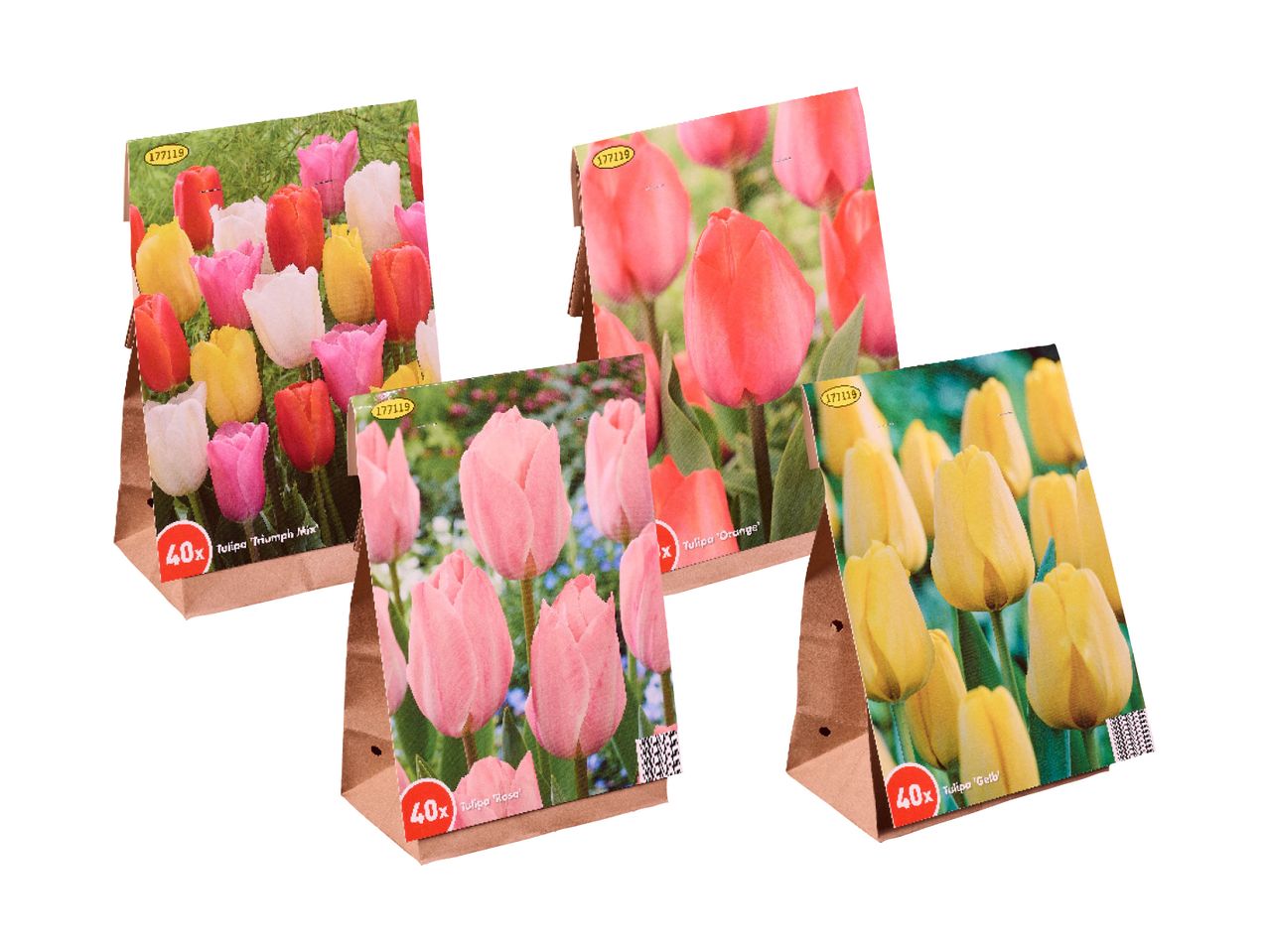 Four packages of tulip bulbs, including 'Triumph Mix', 'Orange', 'Rosa', and 'Gelb' varieties.