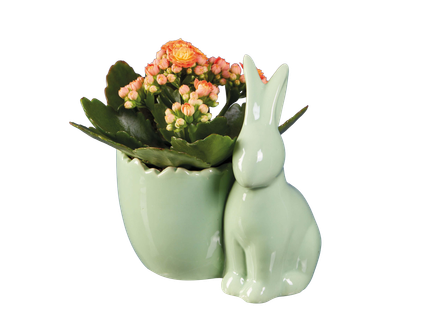 Korallvirág húsvéti kerámiában*