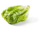Alface verde fresca sobre um fundo branco.
