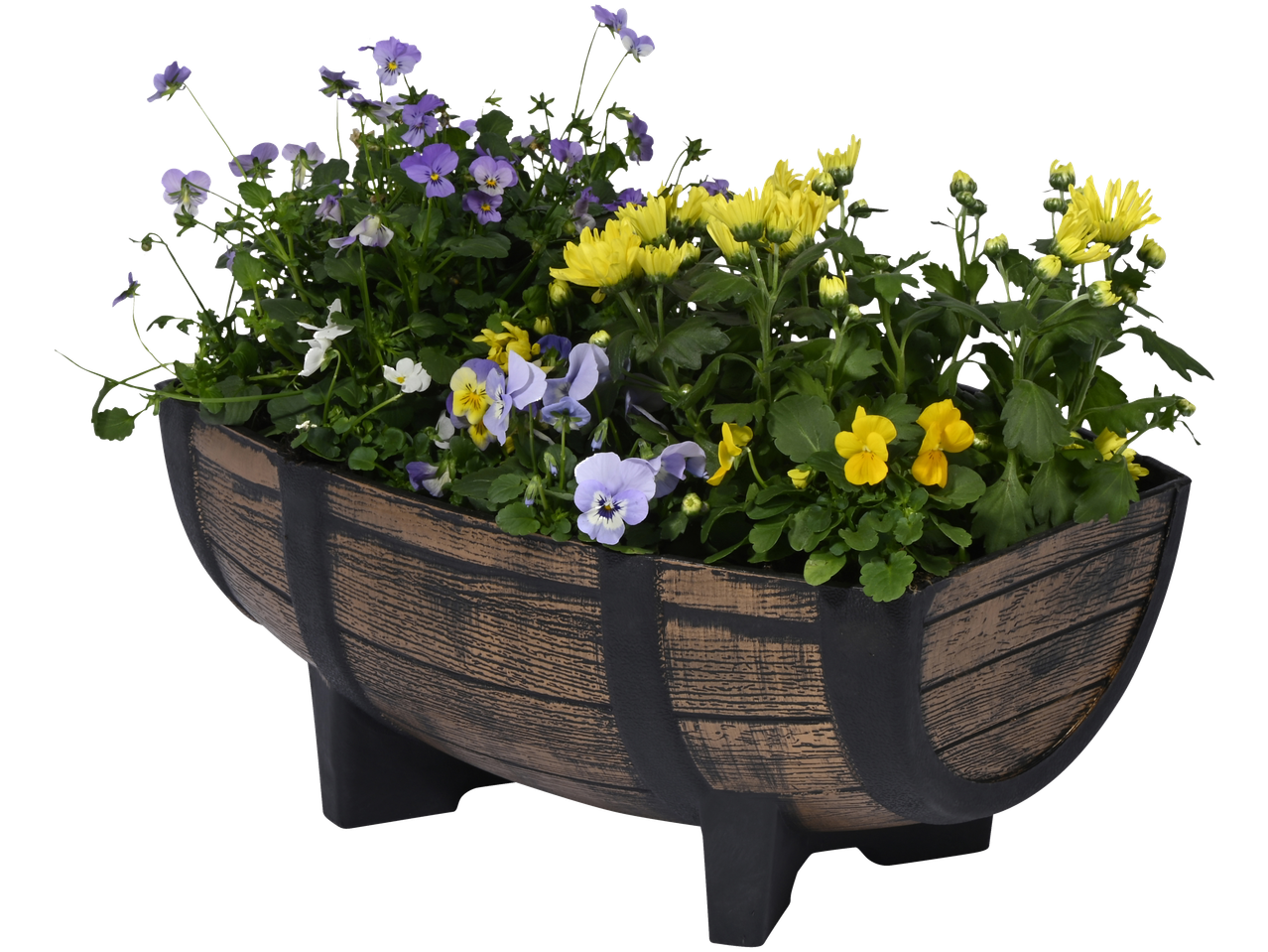 Pflanzkübel DOBAR mit Stiefmütterchen und gelben Chrysanthemen in einem fassförmigen Holzpflanzgefäß.
