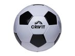 A black and white soccer ball with text on it, isolated on a white background.