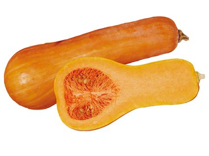 Sütőtök
