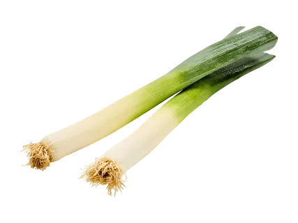 Kotimainen purjo