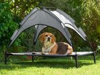 A beagle dog rests on a raised dog bed with a grey sun canopy in a sunny garden.