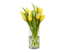 Tulipa amarelas em um vaso de vidro.