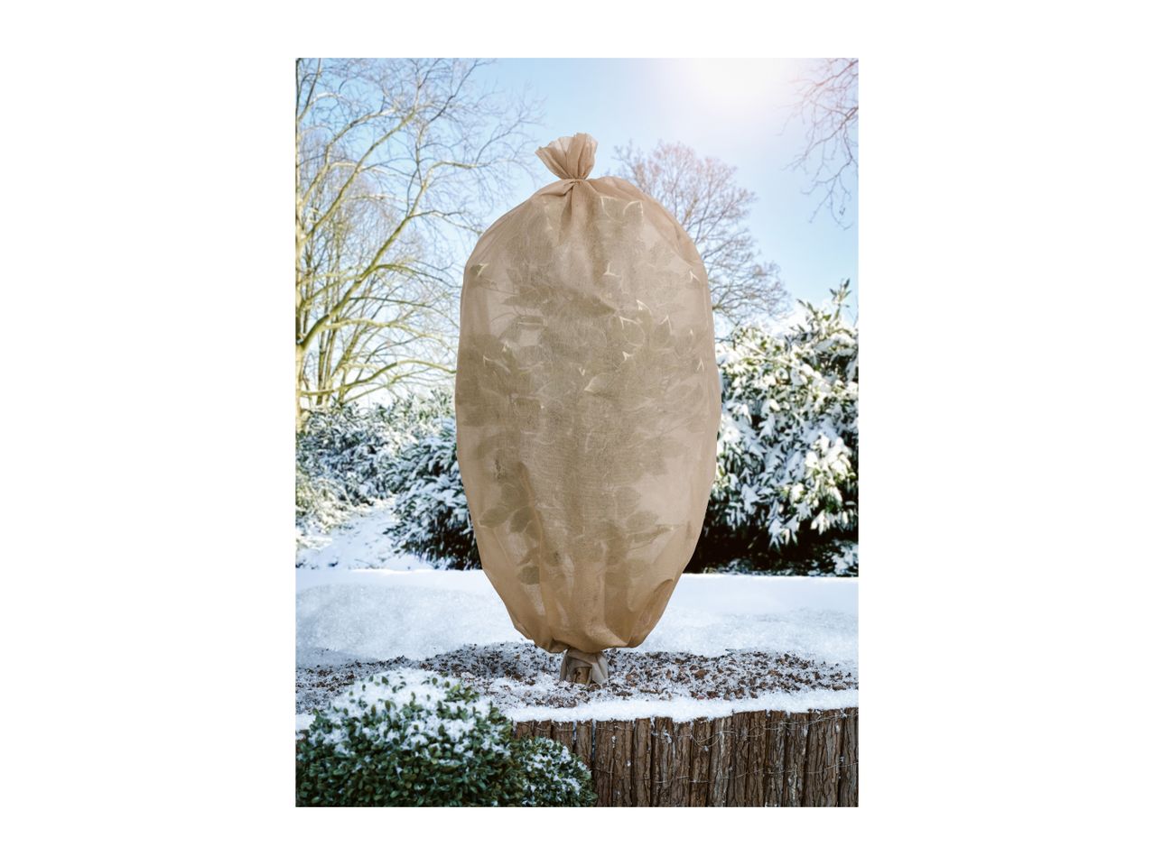 Beige winter protection fleece cover on a small tree in a snowy garden