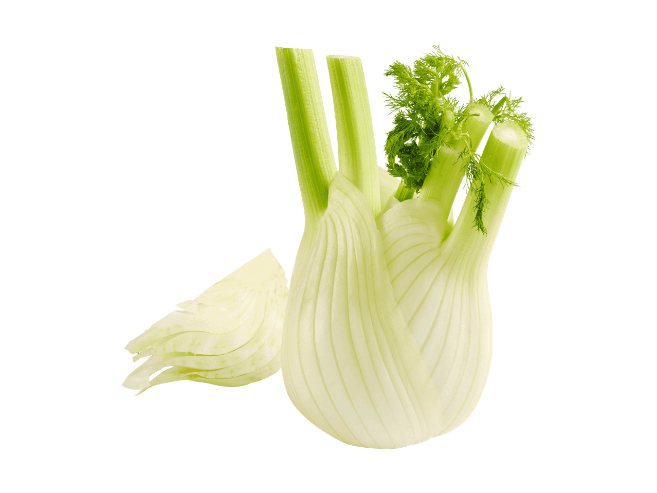 Eine Fenchelknolle mit grünen Stielen und einem abgeschnittenen Stück daneben.