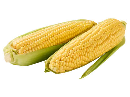 Csemegekukorica