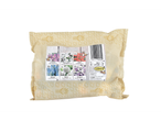 Bee friendly flower seed mix: Crocus, Chionodoxa, Tulip, Muscari, Allium, Anemone.