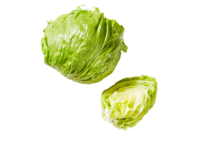 Gūžinė salota „Iceberg“