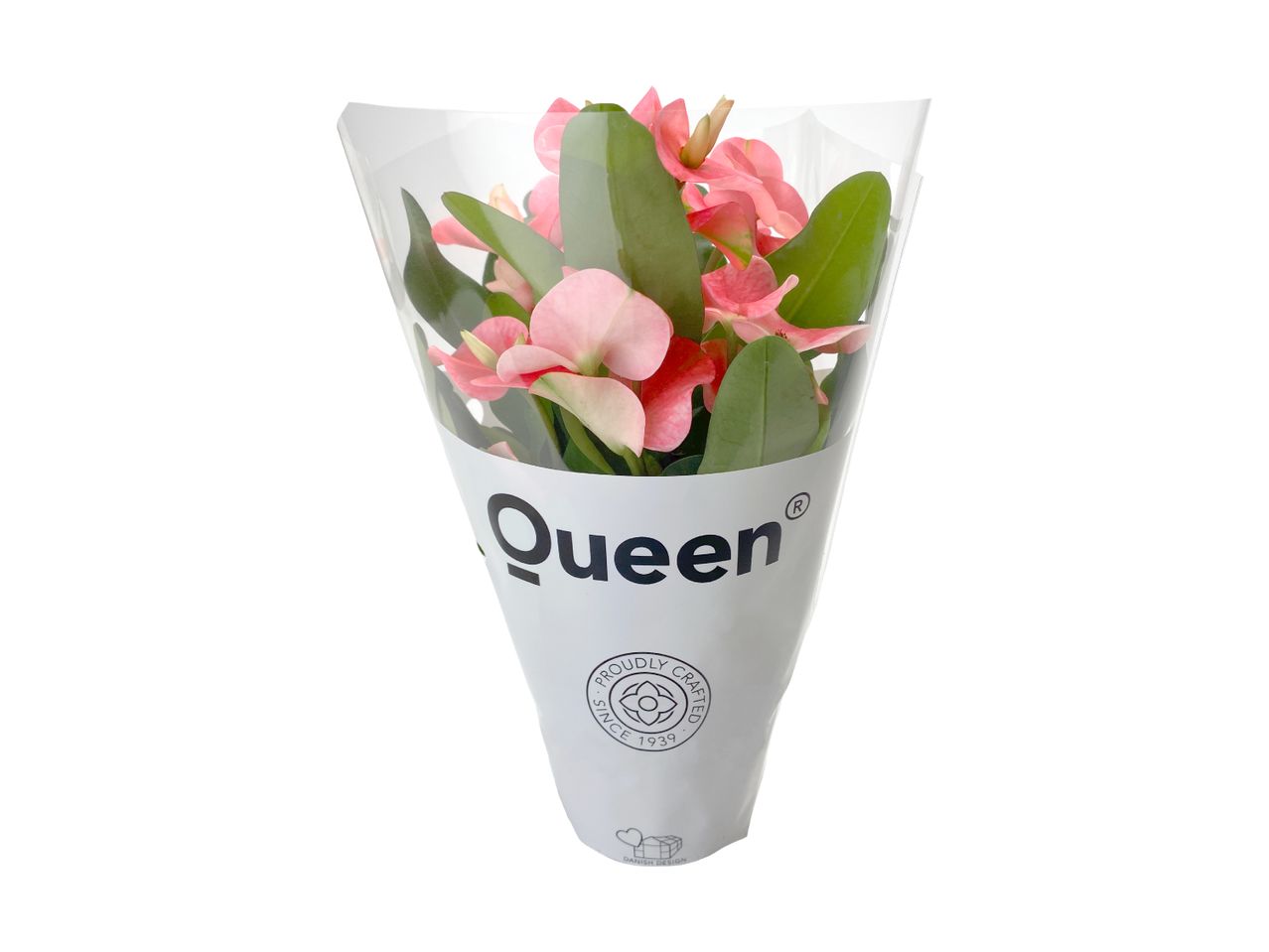 En buket lyserøde blomster med grønne blade i hvid indpakning med teksten 'Queen'.