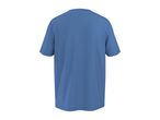Back view of a plain blue short-sleeved t-shirt.
