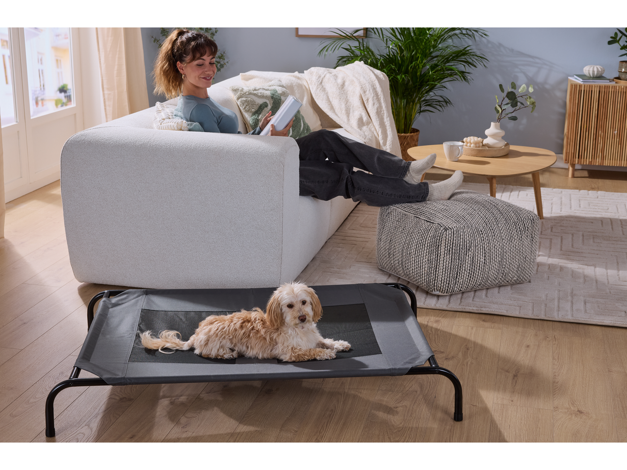 Zoofari Dog Bed with a small dog on it, next to a woman reading on a sofa.