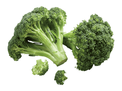 Brokoli